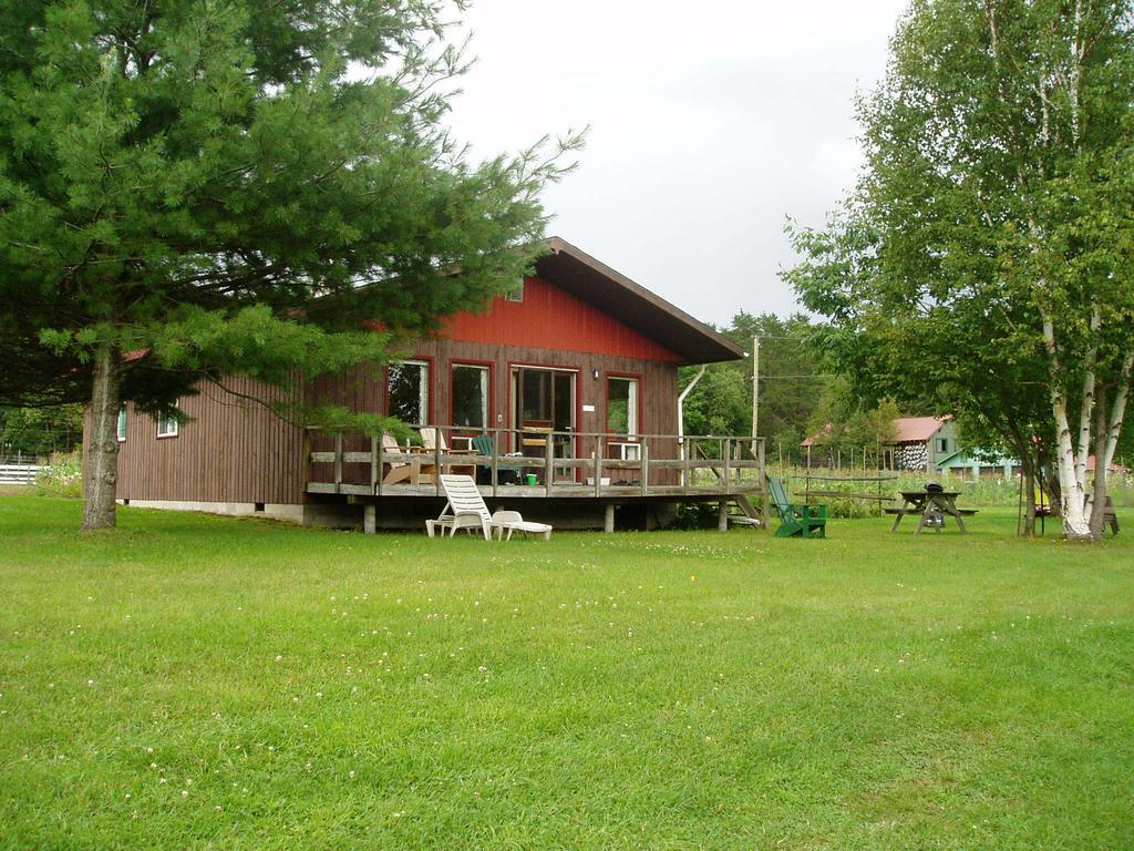 Bondi Village Cottage Resort Lake of Bays Zewnętrze zdjęcie